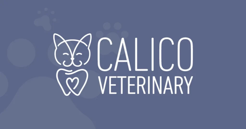 Calico Veterinary NYC | Cat Dental Care & Feline Dentistry